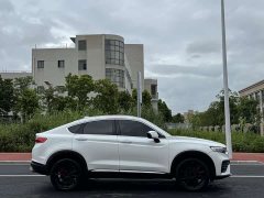 Geely Xingyue 2020 High-Performance Edition 300T Star Master - ფოტო 11