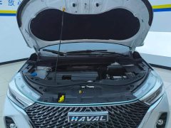 Haval M6 PLUS 1.5T DCT Luxury Smart Connected Edition - ფოტო 10