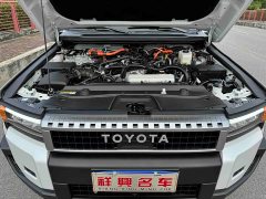 Toyota Prado 2.4T All-Purpose TX 5-Seater - photo 13