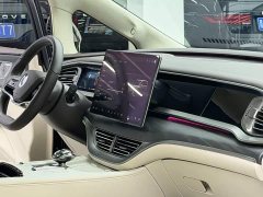 Denza BYD Denza D9 PIONEER Four-Seat Pioneer Edition - ფოტო 10