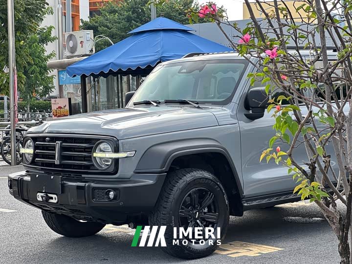 Tank 300 Off-Road Edition 2.0T Challenger - ავტომობილი ჩინეთიდან