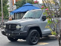 Tank 300 Off-Road Edition 2.0T Challenger - ფოტო 1