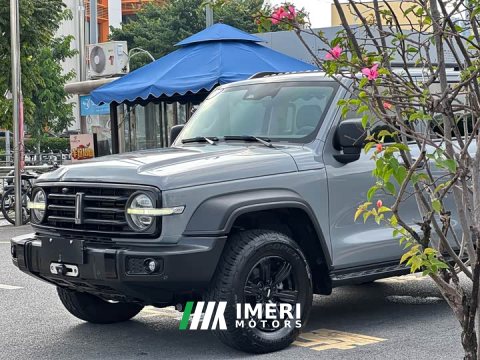 2021 Tank 300 Off-Road Edition 2.0T Challenger - ავტომობილი ჩინეთიდან
