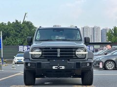 Tank 300 Off-Road Edition 2.0T Challenger - ფოტო 3