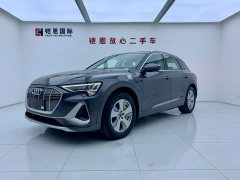 Audi e-tron 2021 50 quattro Luxury - ფოტო 1