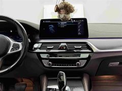 BMW 5 Series New Energy 535Le Pioneer Edition M Sport Package - ფოტო 13