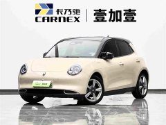 ORA Good Cat 400km Standard Range Athena Edition Ternary Lithium - ფოტო 1