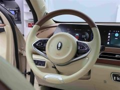 ORA Good Cat 400km Standard Range Athena Edition Ternary Lithium - ფოტო 13