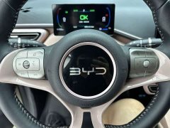 BYD Seagull Glory Edition 405km Flying Edition - ფოტო 14