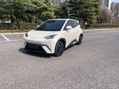 BYD Seagull 2024 Glory Edition 305km Vitality Version - ფოტო 1