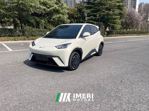 2025 BYD Seagull 2024 Glory Edition 305km Vitality Version - ავტომობილი ჩინეთიდან
