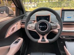 BYD Seagull 2024 Glory Edition 305km Vitality Version - ფოტო 15