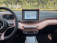 BYD Seagull 2024 Glory Edition 305km Vitality Version - ფოტო 16