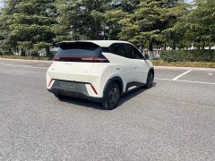 BYD Seagull 2024 Glory Edition 305km Vitality Version - ფოტო 3