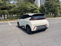 BYD Seagull 2024 Glory Edition 305km Vitality Version - ფოტო 4