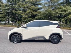 BYD Seagull 2024 Glory Edition 305km Vitality Version - ფოტო 5