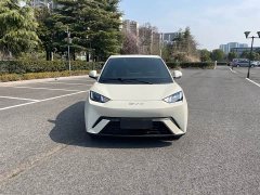BYD Seagull 2024 Glory Edition 305km Vitality Version - ფოტო 8