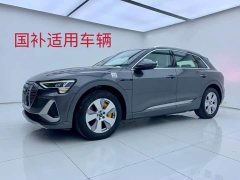 Audi e-tron 2021 50 quattro Luxury - ფოტო 1