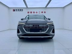 Audi e-tron 2021 50 quattro Luxury - ფოტო 3