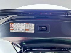 Lexus LM 2020 300h 7-Seater Elegant Edition - ფოტო 14