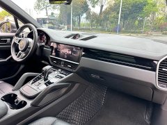 Porsche 2019 Cayenne 3.0T - ფოტო 9