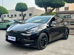 Tesla Model Y Long Range All-Wheel Drive - ფოტო 1