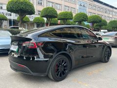 Tesla Model Y Long Range All-Wheel Drive - ფოტო 14