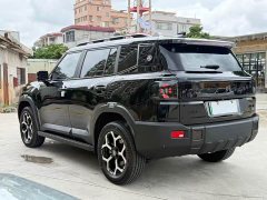 Jetour Jietu Shanhai T1 2024 150km Xianghu - ფოტო 12