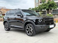 Jetour Jietu Shanhai T1 2024 150km Xianghu - ფოტო 3