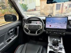 Jetour Jietu Shanhai T1 2024 150km Xianghu - ფოტო 5