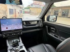 Jetour Jietu Shanhai T1 2024 150km Xianghu - ფოტო 7
