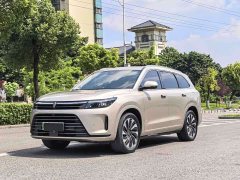 AITO Wenjie M7 1.5T RWD Comfort Edition - ფოტო 1