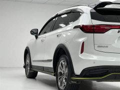Haval Chitu Jinxiang Edition 1.5T Bronze Rabbit - ფოტო 10
