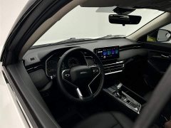 Haval Chitu Jinxiang Edition 1.5T Bronze Rabbit - ფოტო 13