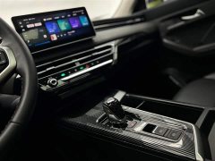 Haval Chitu Jinxiang Edition 1.5T Bronze Rabbit - ფოტო 18
