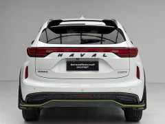 Haval Chitu Jinxiang Edition 1.5T Bronze Rabbit - ფოტო 20