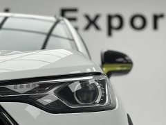 Haval Chitu Jinxiang Edition 1.5T Bronze Rabbit - ფოტო 4