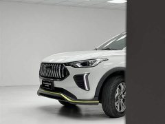 Haval Chitu Jinxiang Edition 1.5T Bronze Rabbit - ფოტო 6