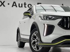 Haval Chitu Jinxiang Edition 1.5T Bronze Rabbit - ფოტო 7