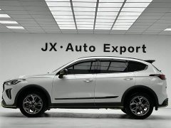 Haval Chitu Jinxiang Edition 1.5T Bronze Rabbit - ფოტო 8