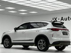 Haval Chitu Jinxiang Edition 1.5T Bronze Rabbit - ფოტო 9