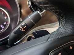 Mercedes-Benz V-Class V 260 L Long Wheelbase Luxury Edition - ფოტო 16