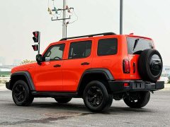 Tank 300 Off-Road Edition 2.0T Conqueror - ფოტო 4