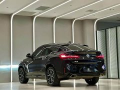 BMW X4 xDrive 25i M Sport Package - ფოტო 9