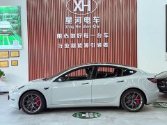 Tesla Model 3 2022 Performance All-Wheel Drive - ფოტო 4
