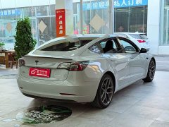 Tesla Model 3 2022 Performance All-Wheel Drive - ფოტო 7