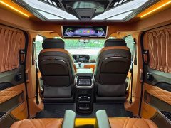 Ford Watson Wilford Black Warrior 2.0T Gasoline Peak Edition - ფოტო 13