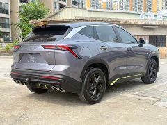 Jetour Jietu Dasheng 2024 1.5T DCT Longteng Pro - ფოტო 10