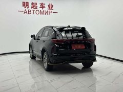 Haval Chitu Jingxiang Edition 1.5T Purple Copper Rabbit - ფოტო 9