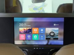 Denza D9 2022 DM-i 970 AWD Flagship - ფოტო 16